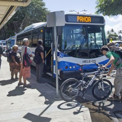 Pāhoa Transit Hub thumbnail icon
