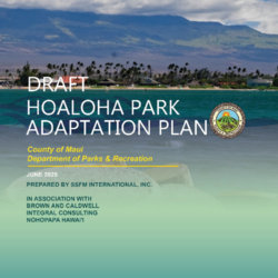 COM Hoaloha Park Adaptation Plan Public Review Draft thumbnail icon