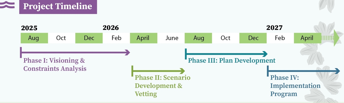 Schedule showing the project broken into four phases: 1. Visioning and Constraints Analysis, 2. Scenario Development & Vetting, 3. Plan Development, and 4. Implementation Program